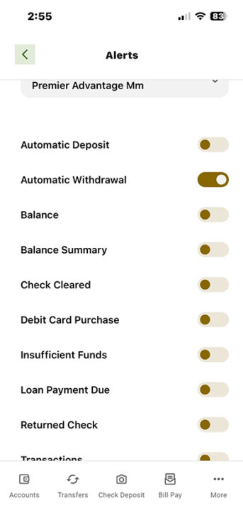 alerts & notifications