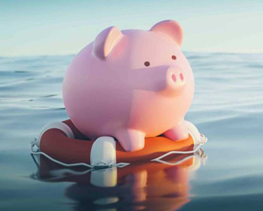 pig on life preserver